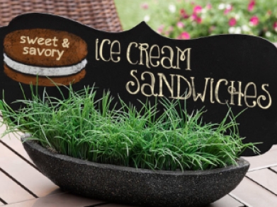 Sweet & Savory Ice Cream Sandwiches